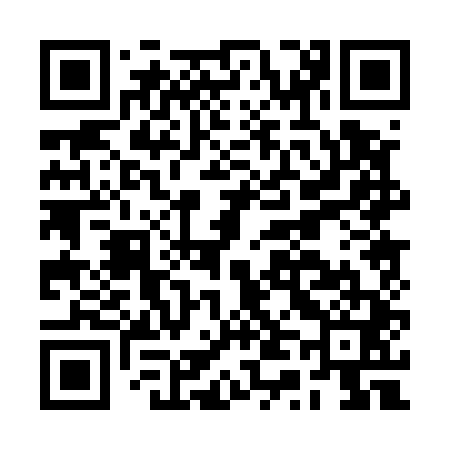QR code for BT0541