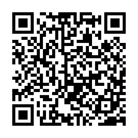 QR code for BT2003