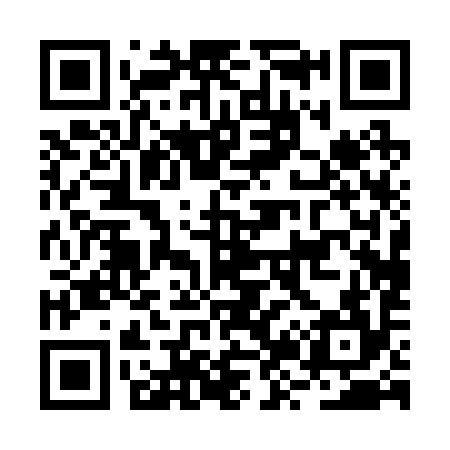 QR code for BZ0294