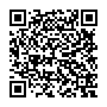 QR code for CA3828