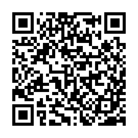 QR code for CC1383
