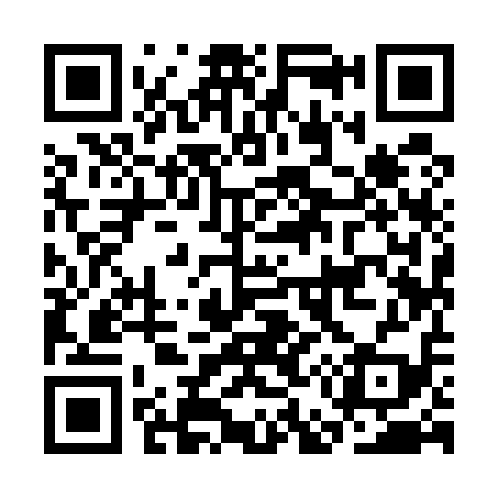 QR code for CE9519