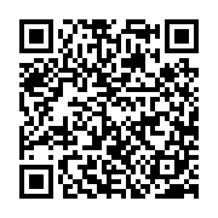 QR code for CG4241