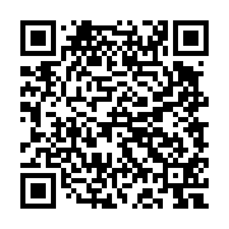 QR code for CG4411