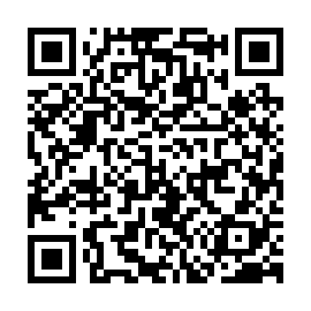 QR code for CG5228