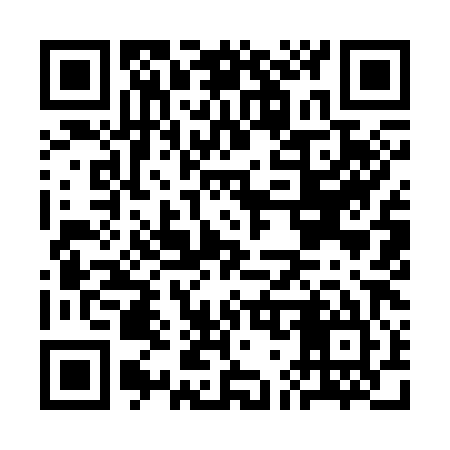 QR code for CG9385
