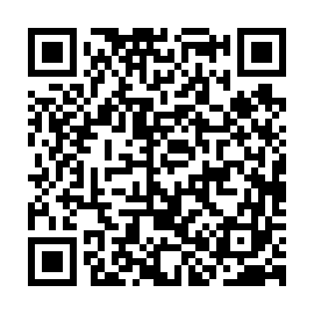 QR code for CH0663