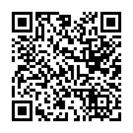 QR code for CH2393