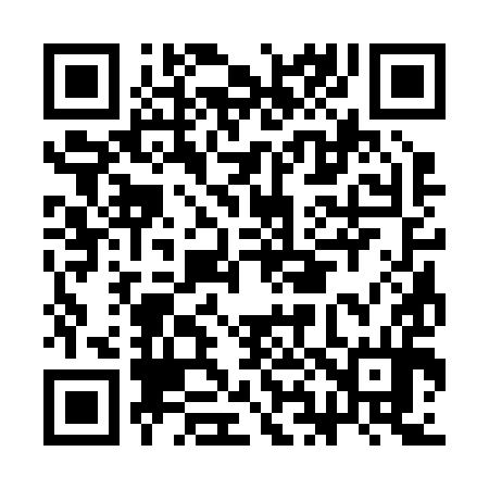 QR code for CH3294