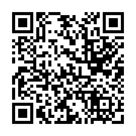 QR code for CH3311