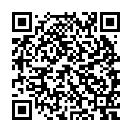 QR code for CH6291
