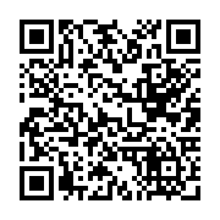 QR code for CH6325
