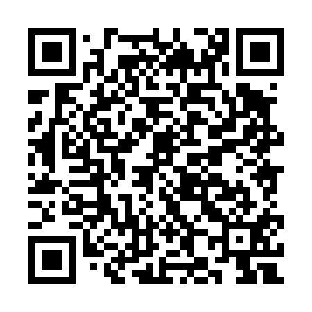 QR code for CH8411