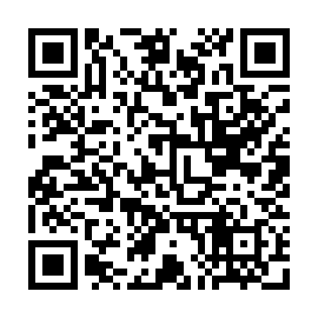 QR code for CH9138