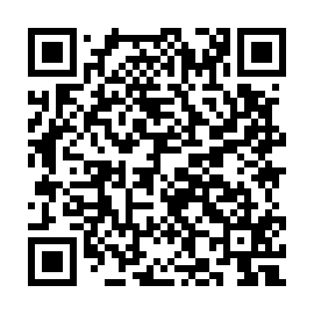 QR code for CH9515