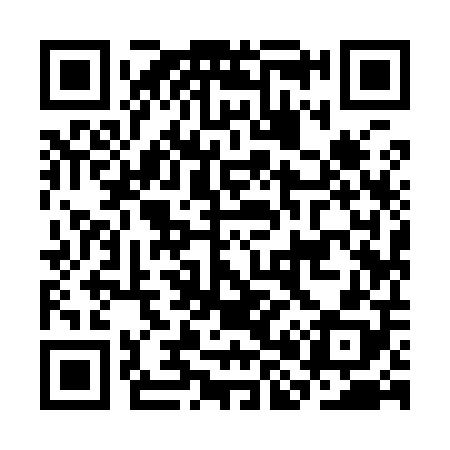 QR code for CH9908