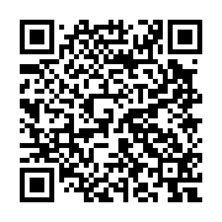 QR code for CI1013