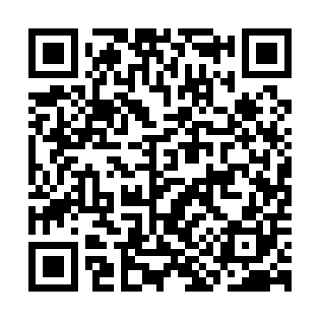 QR code for CI1100