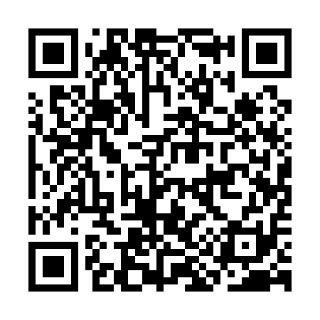 QR code for CI1111