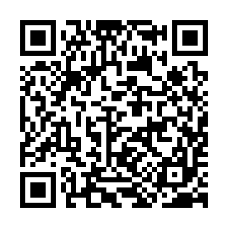 QR code for CI1397