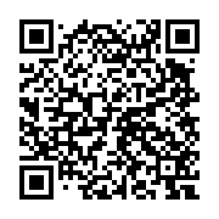 QR code for CI2453