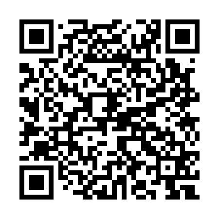 QR code for CI3161