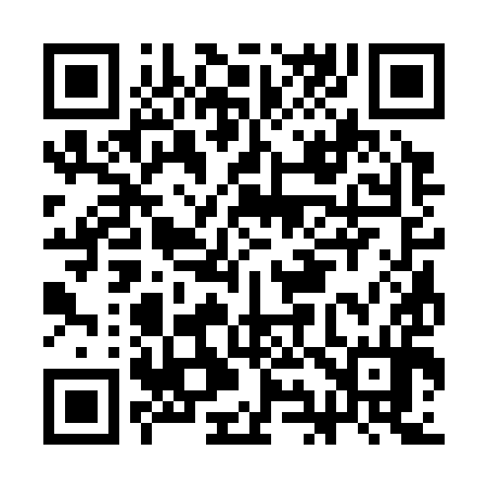 QR code for CI3394