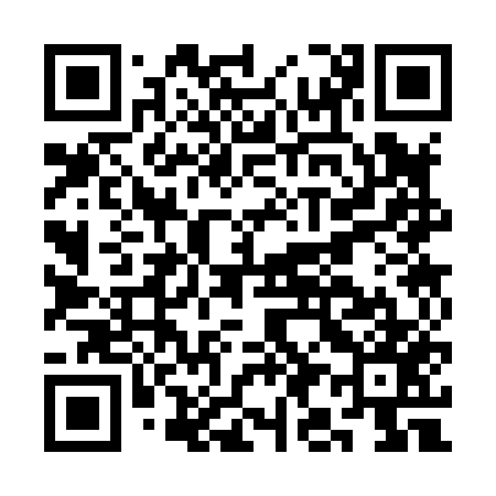 QR code for CI3857