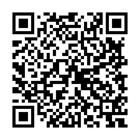 QR code for CI4811