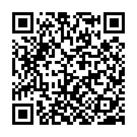QR code for CI6529