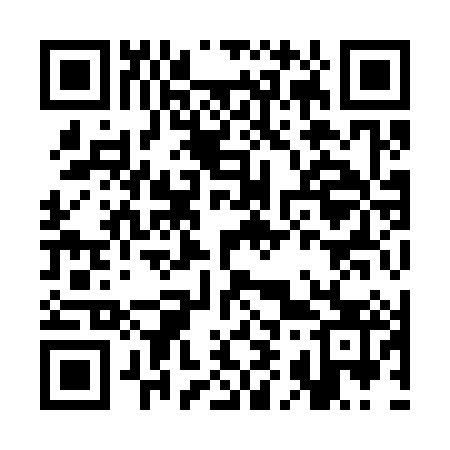 QR code for CI9383