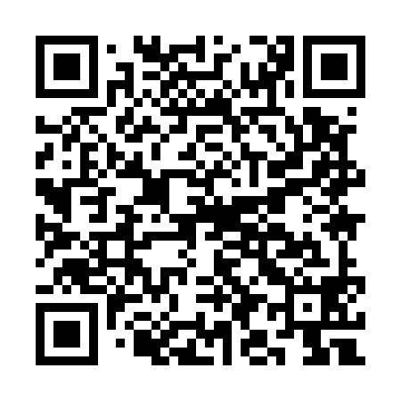 QR code for CI9598