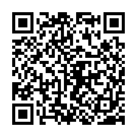 QR code for CL9313