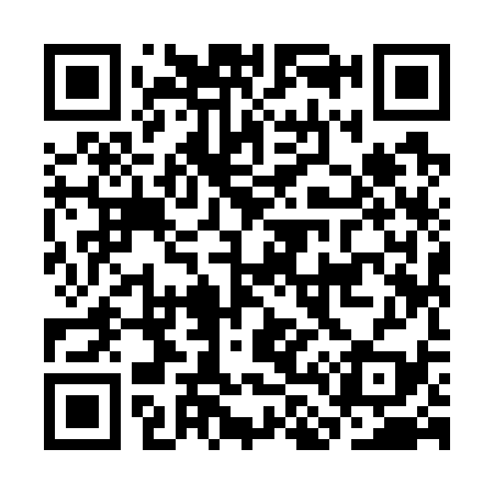 QR code for CL9739