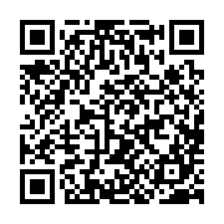 QR code for CN0384
