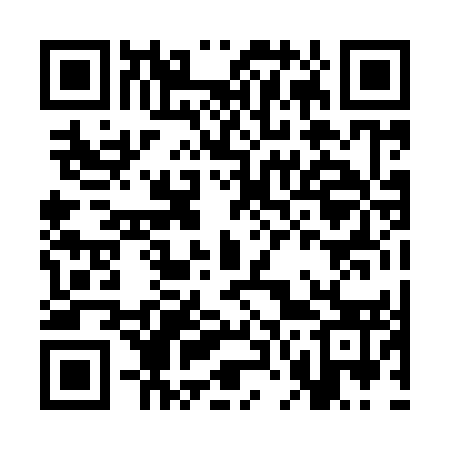 QR code for CN0953