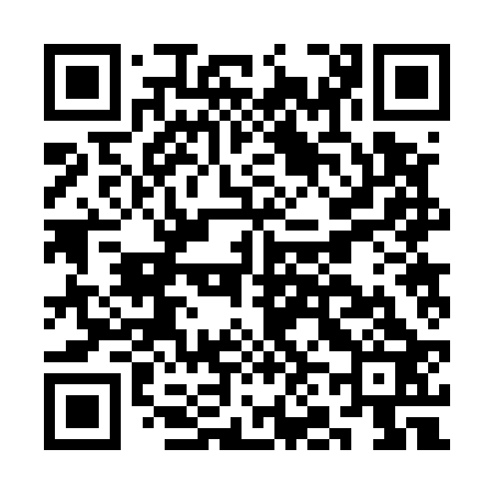 QR code for CN2523