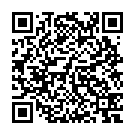 QR code for CN3339