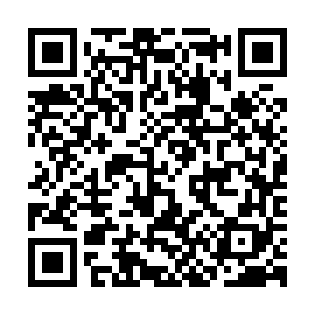 QR code for CN3868
