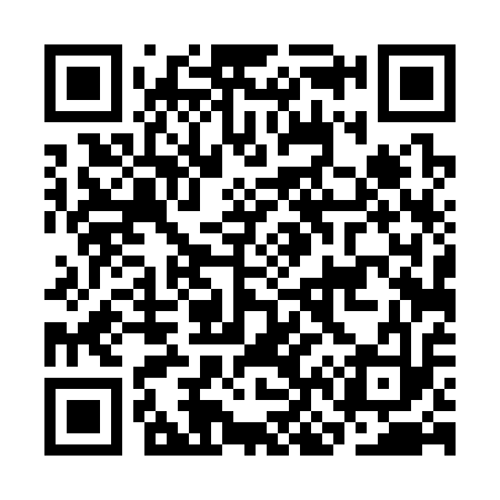 QR code for CN4313