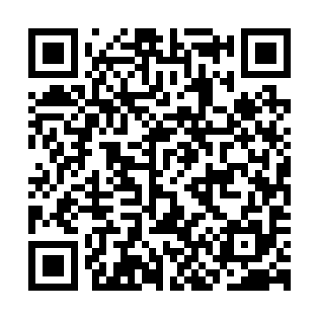 QR code for CN5295
