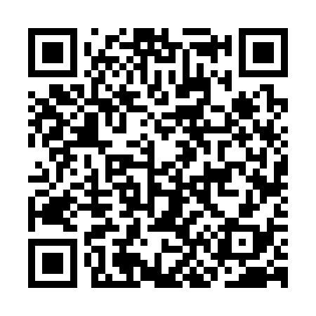 QR code for CN6338