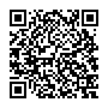 QR code for CN6339