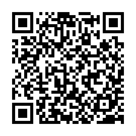 QR code for CN6385