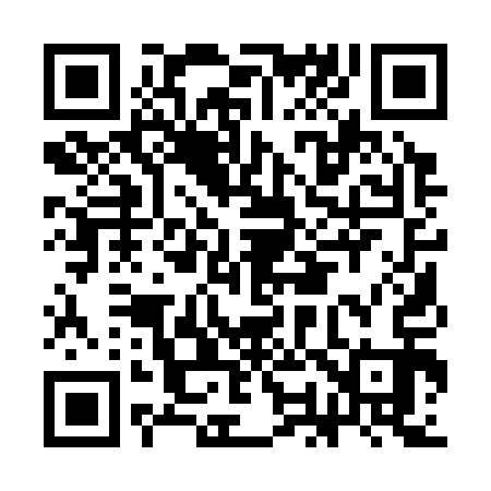 QR code for CO1313
