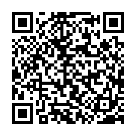 QR code for CQ0333