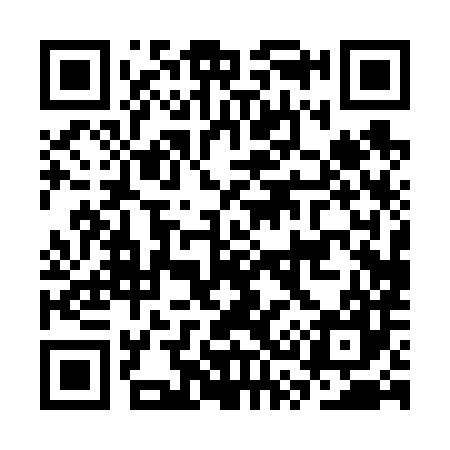 QR code for CS0687