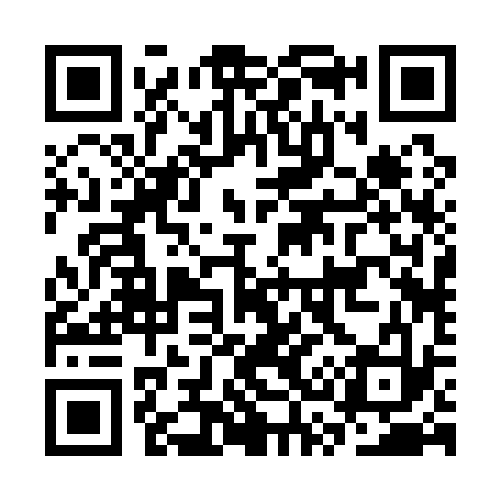 QR code for CS2133