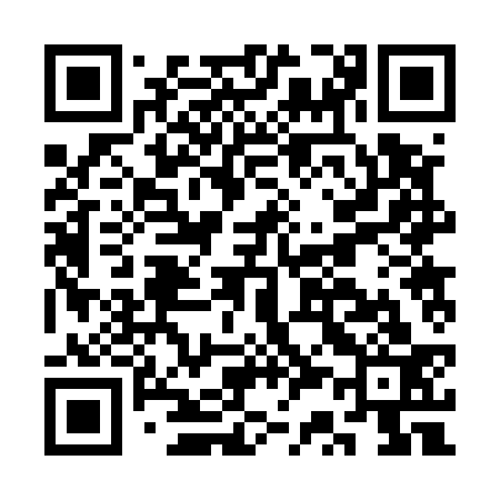 QR code for CS2533