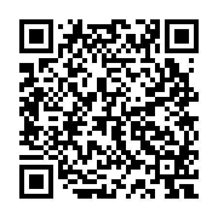 QR code for CS3384